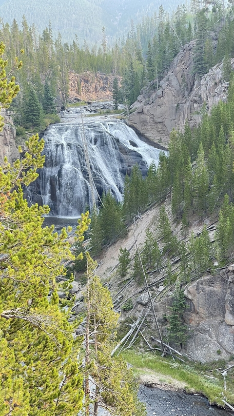 Waterfall flowing over rocks surrounded by lush green forest.