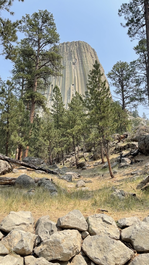Trees and rocky terrain leading up to a mountain.