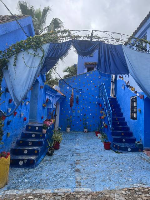       Decorated blue courtyard with plants.
  