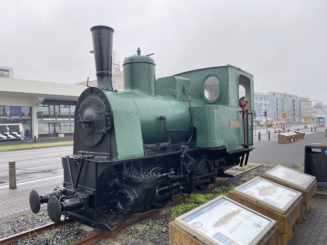       Historic steam engine with a person peeking from the cabin.
  