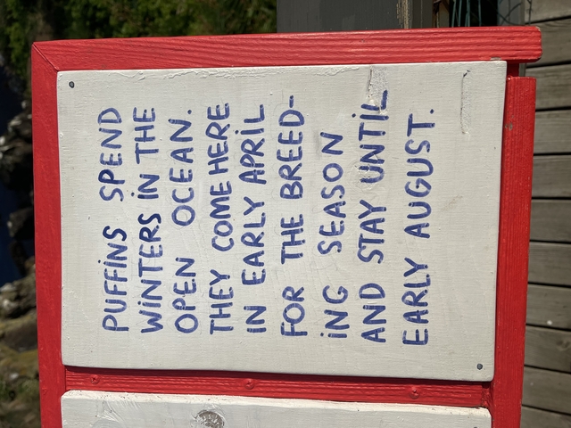       Handwritten sign about puffin migration.
  