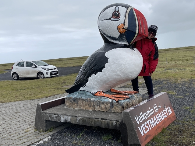 Statue of a puffin with a person posing beside it.