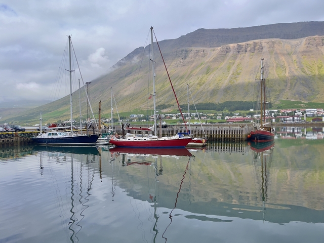       Docked sailboats reflecting in calm harbor waters.
  