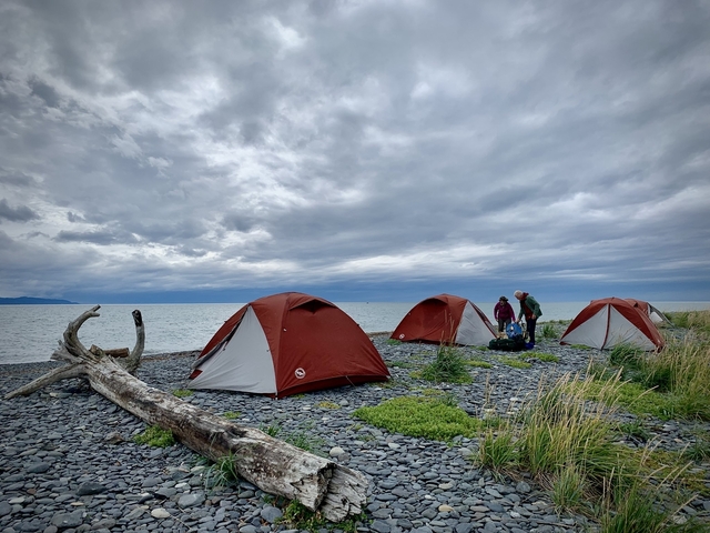       Camping tents on a rocky beach.
  