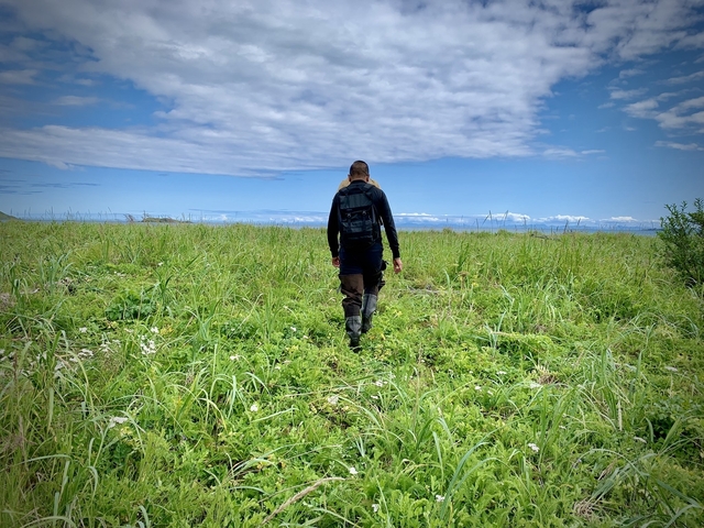       Person walking through a grassy field.
  