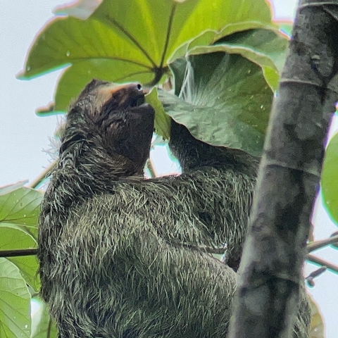 Costa Rica & Manuel Antonio 8 Days, Self-Drive customer review photo 