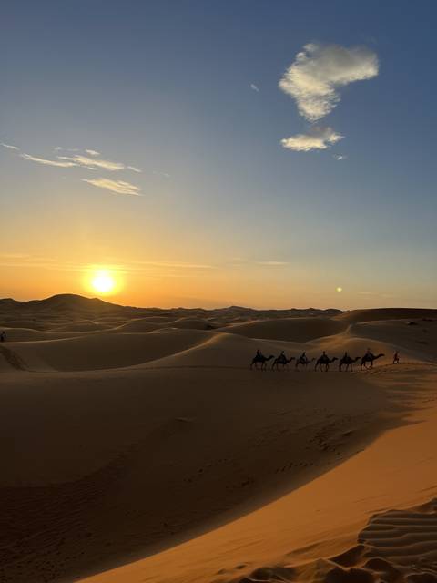 A caravan of camels in the desert during sunset.