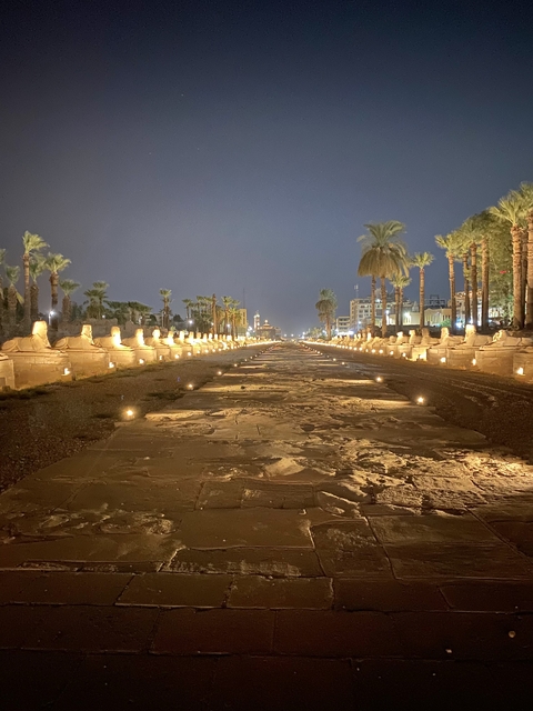       Ancient Egyptian avenue with sphinx statues lit up at night.
  