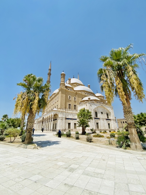       Beautiful mosque with palm trees in the foreground.
  