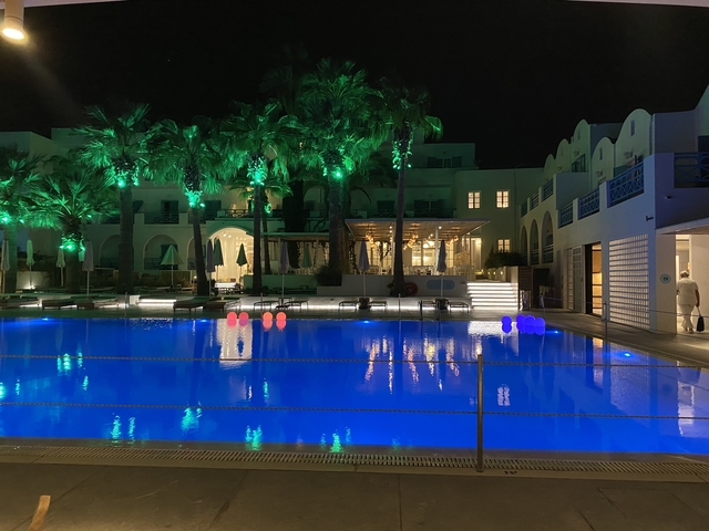 Illuminated pool area at night with palm trees.