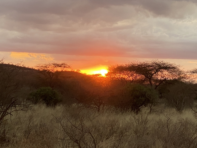       Stunning sunset over a savannah landscape.
  