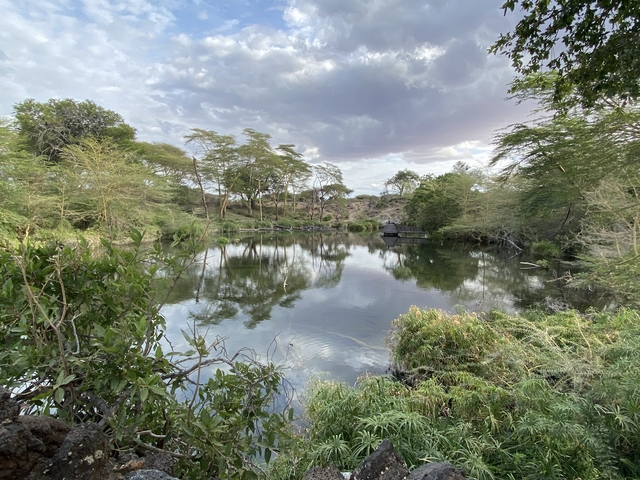 A serene pond surrounded by trees with reflections in the water.
