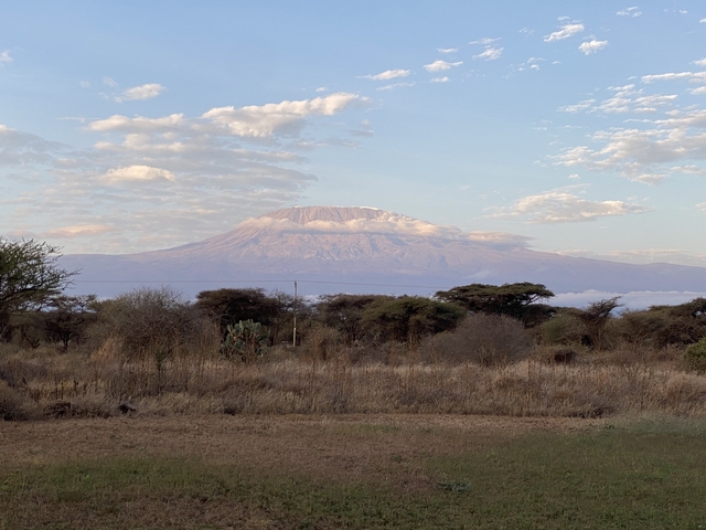       Landscape with Mount Kilimanjaro in the background.
  