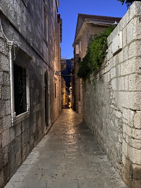       A narrow stone alleyway illuminated by streetlights at dusk.
  