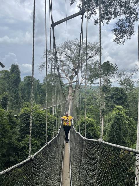       Person standing on a canopy walkway in a forest.
  