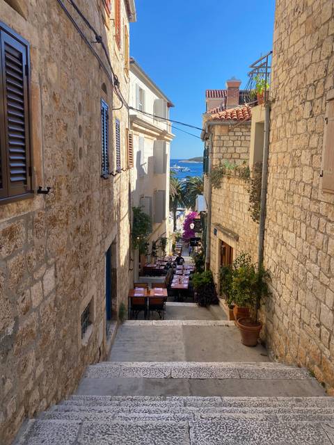       A stone-paved alley in a historic city with plants and a view of the sea in the distance.
  