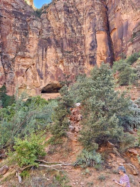 Canyon wall with greenery.