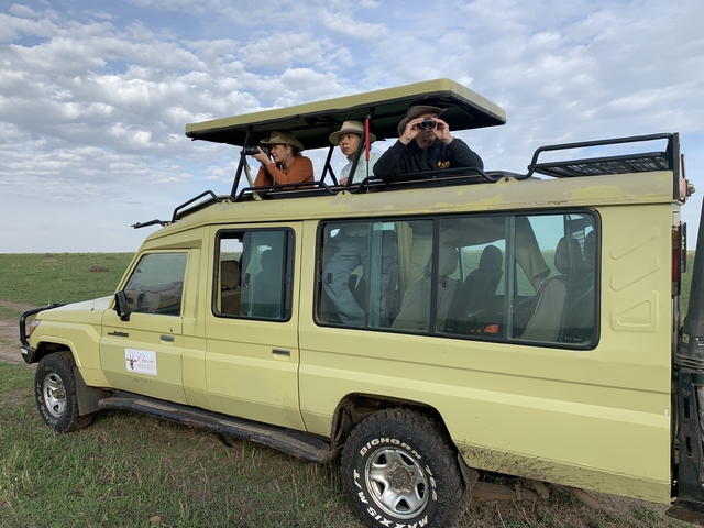       Safari vehicle with people on a game drive
  