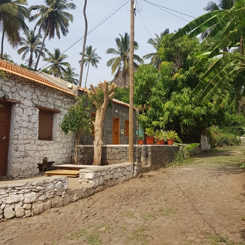 Rustic stone building surrounded by tropical plants.