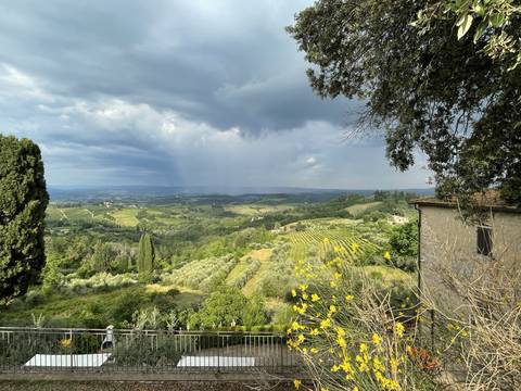      A scenic view of rolling hills and vineyards.
  