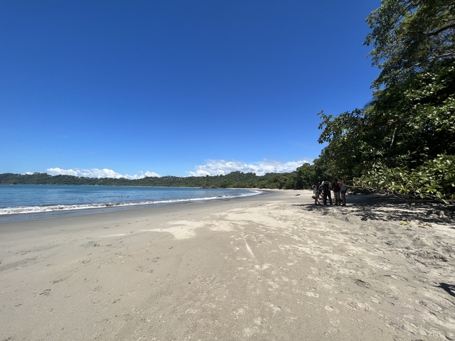 Sandy beach with a few people and clear blue sky.