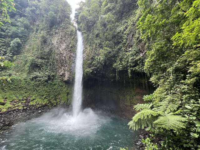       Tall waterfall cascading into a pool surrounded by lush forest.
  