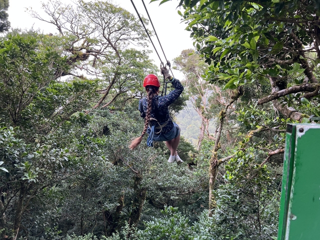 Person zip-lining through a dense forest.