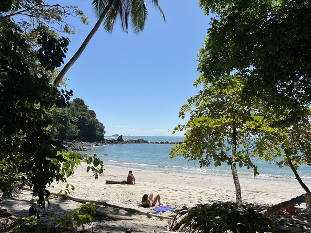 Peaceful beach scene with clear blue ocean and greenery.