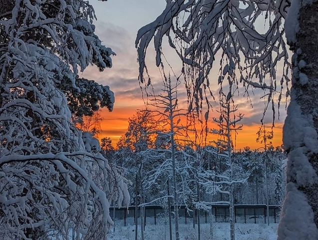 Klantbeoordelingsfoto van Lapland - in de stad van de kerstman op de poolcirkel - 7 dagen 