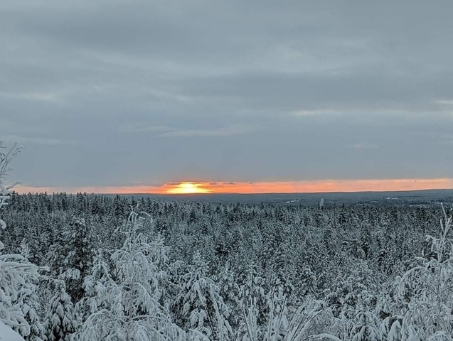 Photo d'avis client sur Laponie 7 jours dans la ville du Père Noël sur le cercle arctique 
