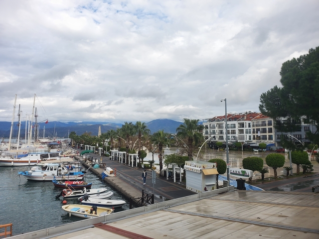       Seaside promenade with boats and palm trees, mountains in the background.
  