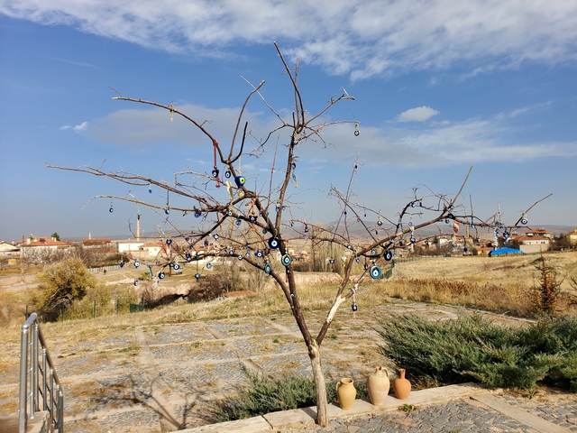       Tree decorated with evil eye charms in a rural setting.
  