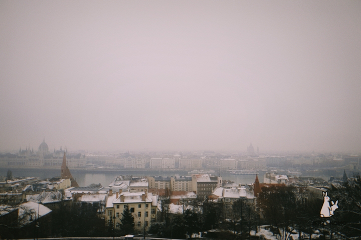       Snowy cityscape under heavy fog.
  