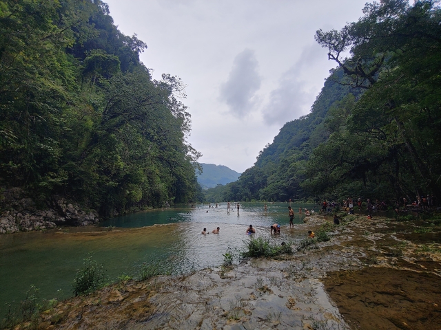       People swimming in a natural pool surrounded by jungle.
  