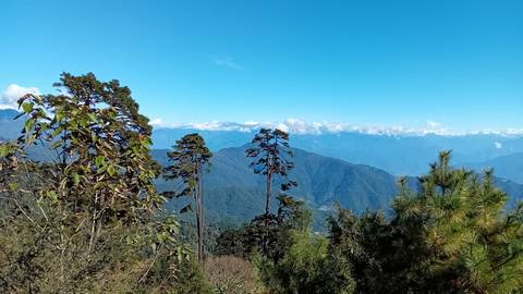       Scenic mountain landscape with trees.
  