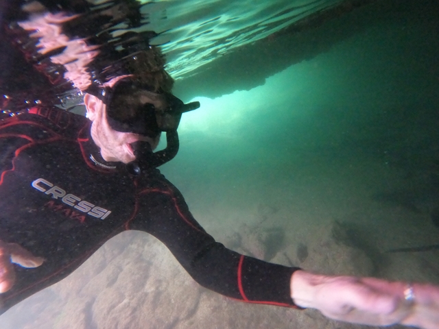 Person snorkeling in murky water.