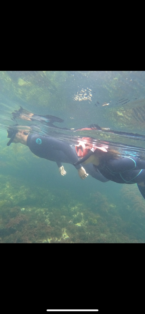 Two people snorkeling underwater.