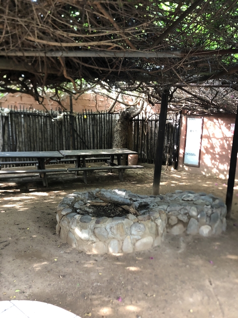 Picnic area with wooden tables and fire pit.