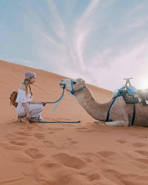       Photo d'avis client sur 5 jours d'excursion dans le désert au départ de Casablanca 
  