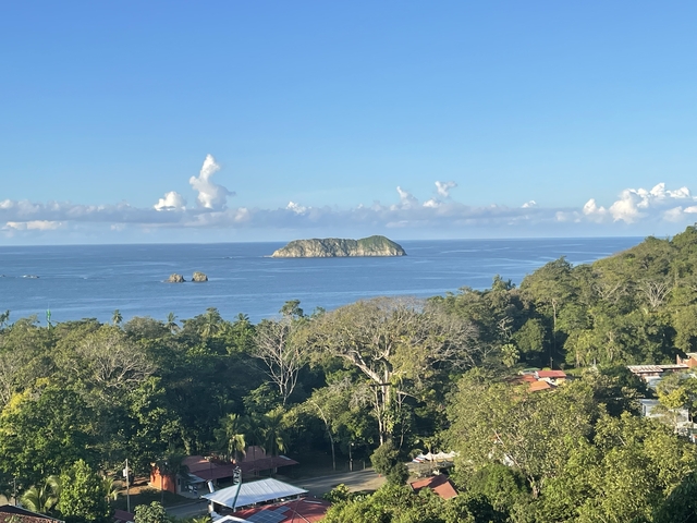 Ocean view with distant islands and trees in the foreground.