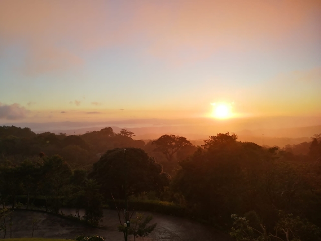       Sunset over a lush forested landscape.
  
