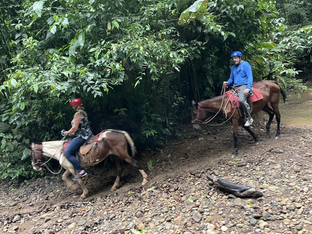       Two people horseback riding in a forest area.
  