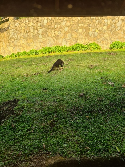       foto de reseña de cliente de Viajes: Lo mejor de Costa Rica Viajes de National Geographic 
  