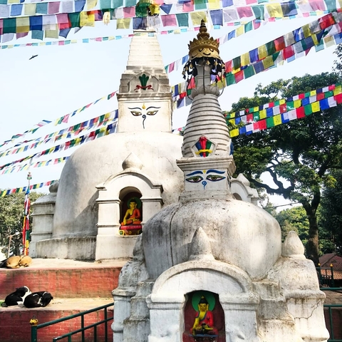       White stupa with painted eyes, adorned with prayer flags.
  