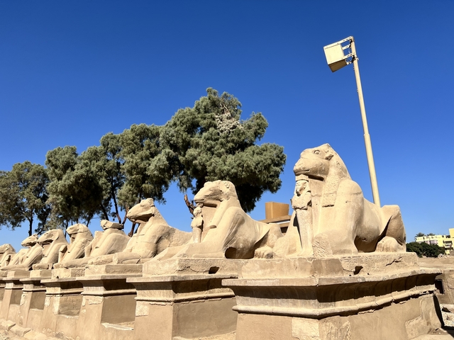 Row of Sphinx statues under clear blue sky.