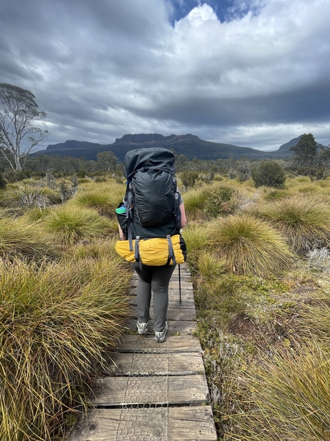 Hiker with a large backpack walking on a trail, Cradle Mountain.