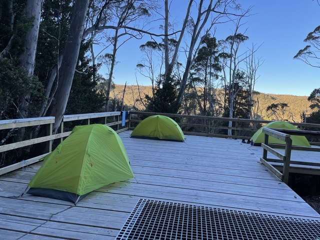 Three green tents on a wooden platform surrounded by trees.