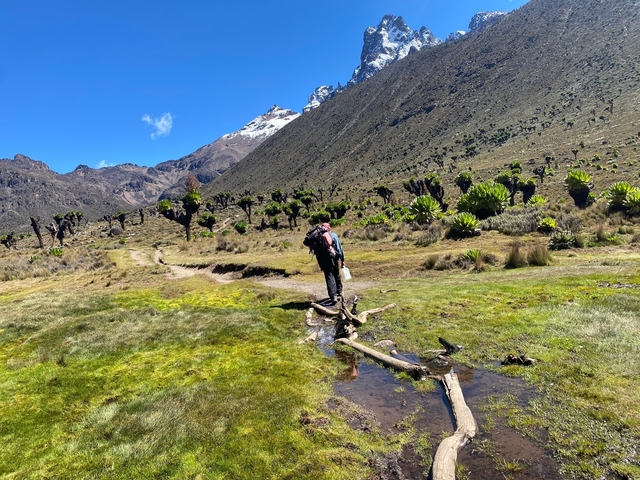       Person hiking on a mountain trail with vegetation.
  