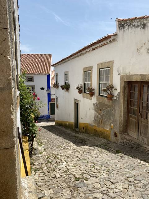 Charming cobblestone street lined with traditional white buildings.