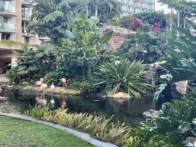 Garden with flamingos and tropical plants.
